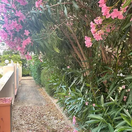 La Guglia Cala Gonone